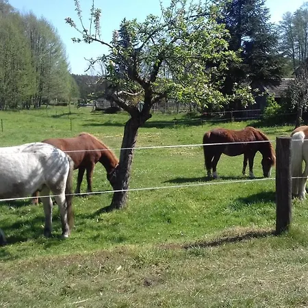 Wildau-wentdorf * Drahnsdorf