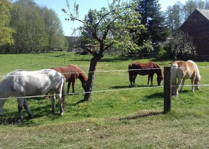 Wildau-wentdorf * Drahnsdorf