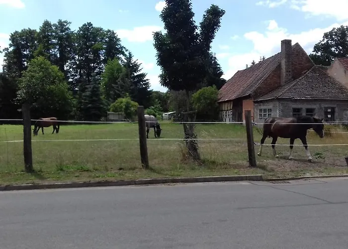 公寓 Wildau-wentdorf *